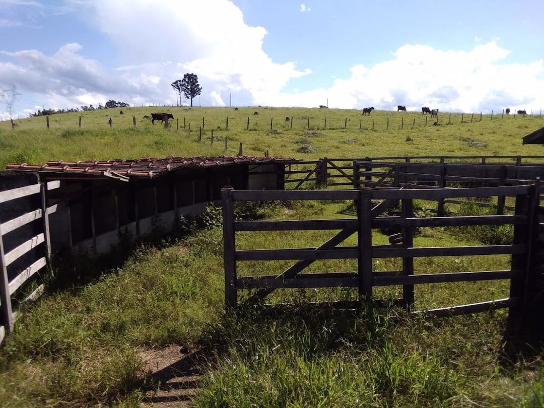 Sítio, 1 quarto, 150 m² - Foto 57