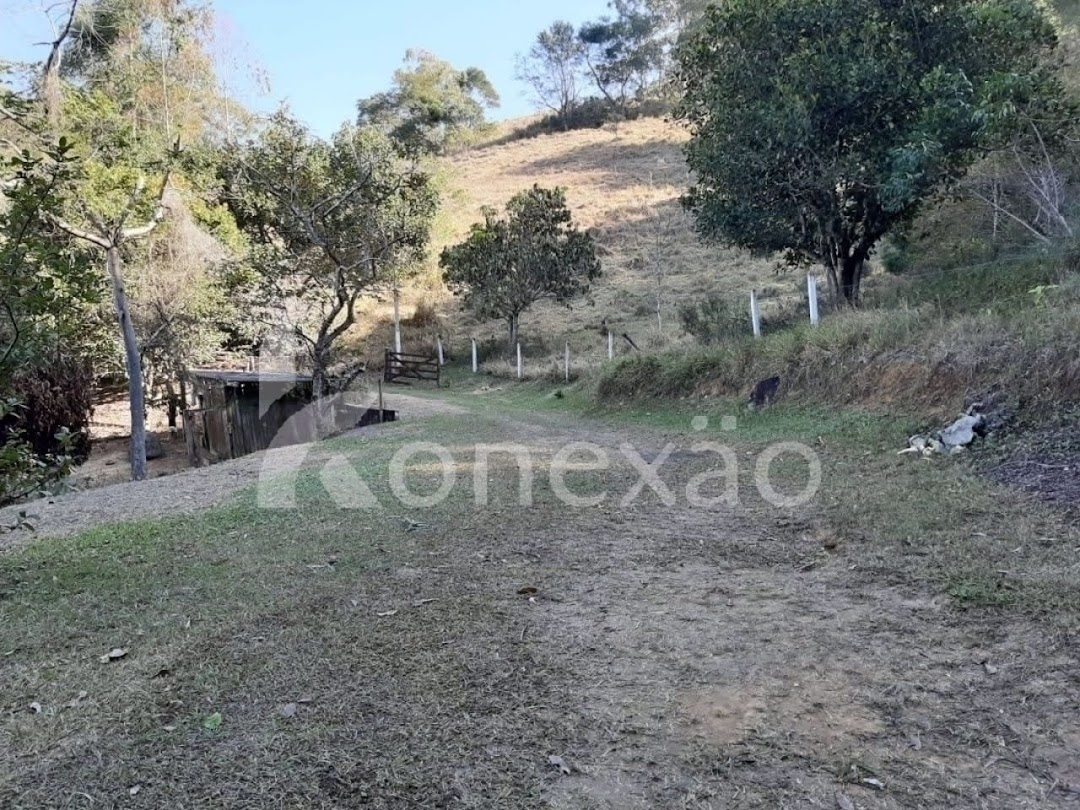 Chácara, 4 quartos, 2000 m² - Foto 2