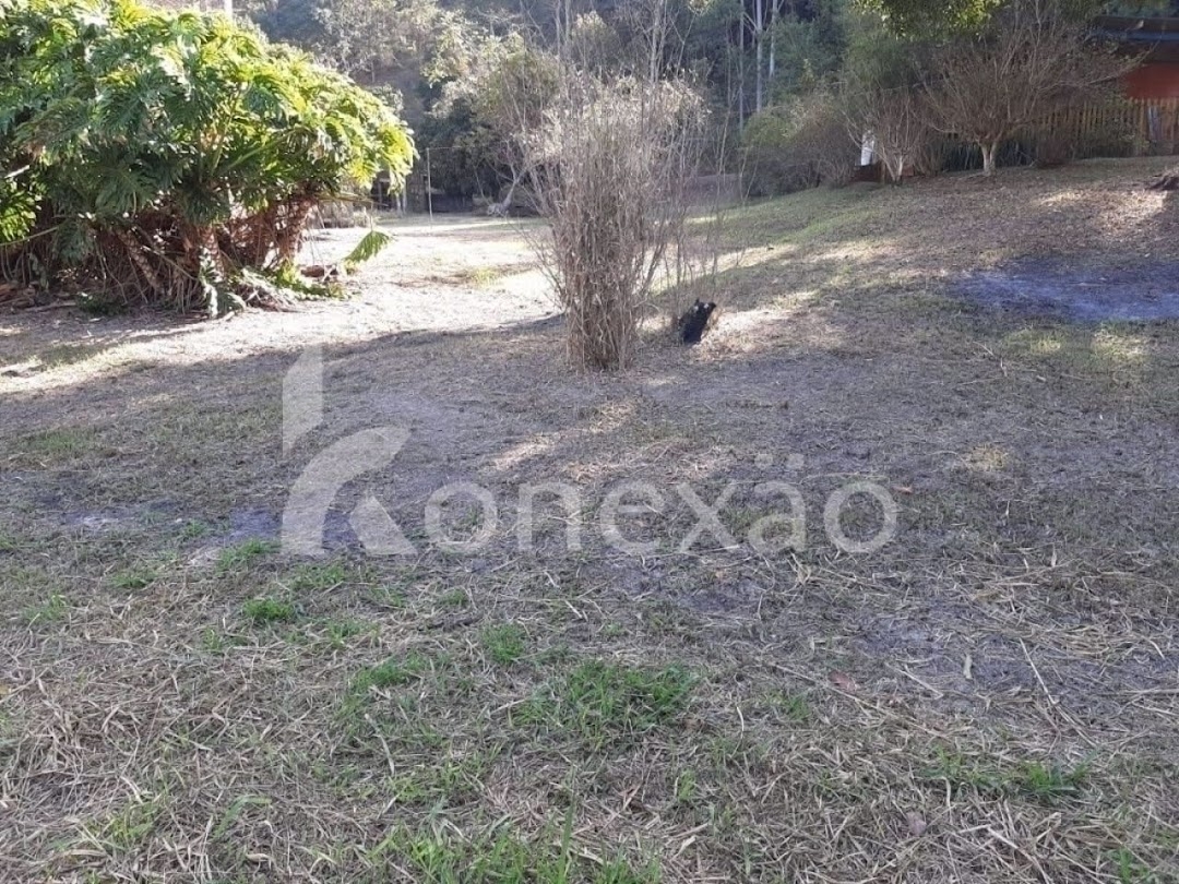 Chácara, 4 quartos, 2000 m² - Foto 3