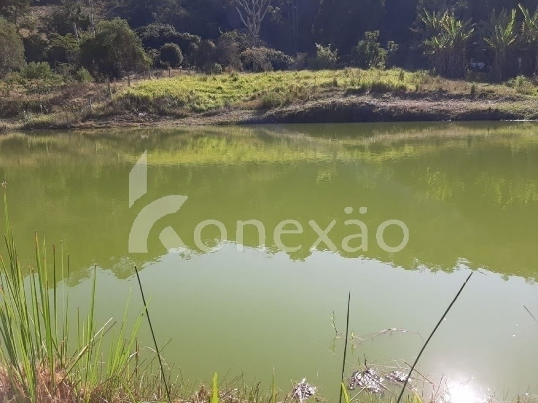 Chácara, 4 quartos, 2000 m² - Foto 1