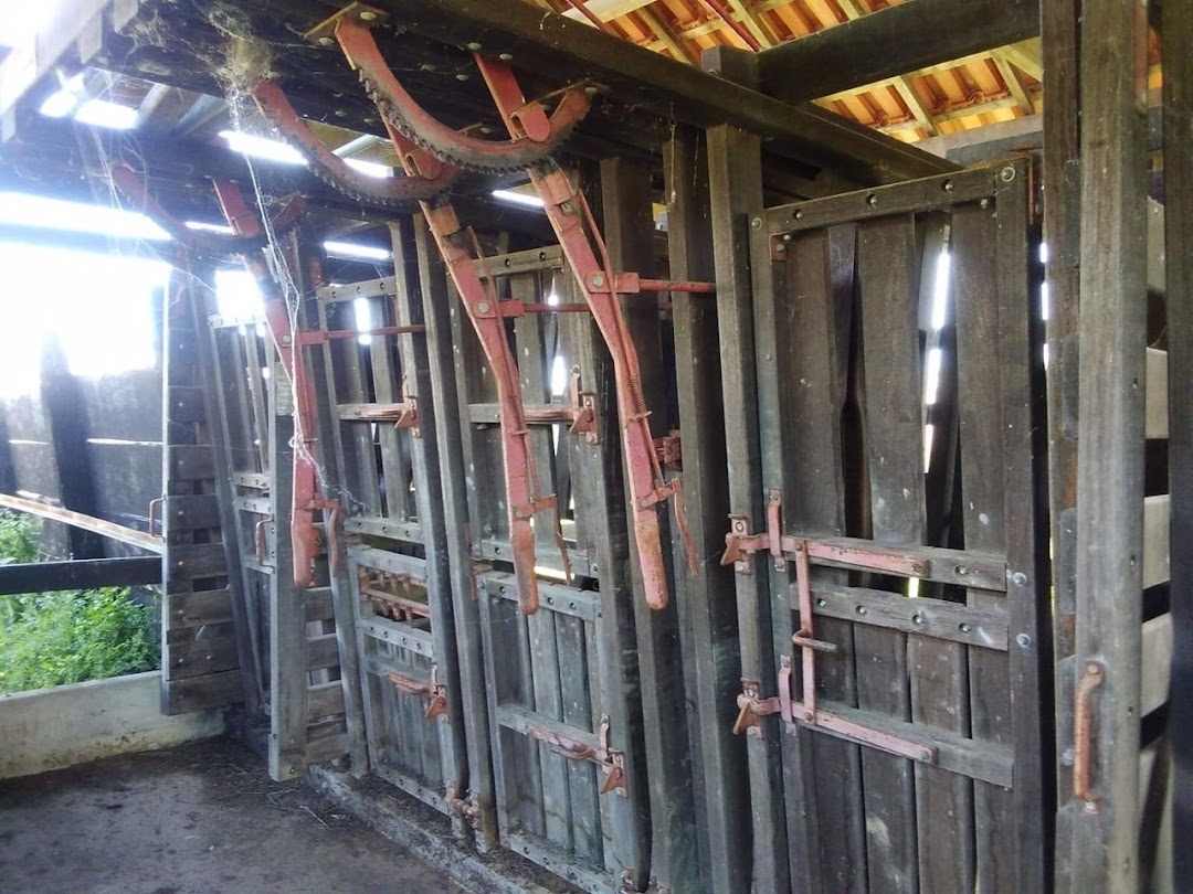 Sítio, 1 quarto, 150 m² - Foto 49