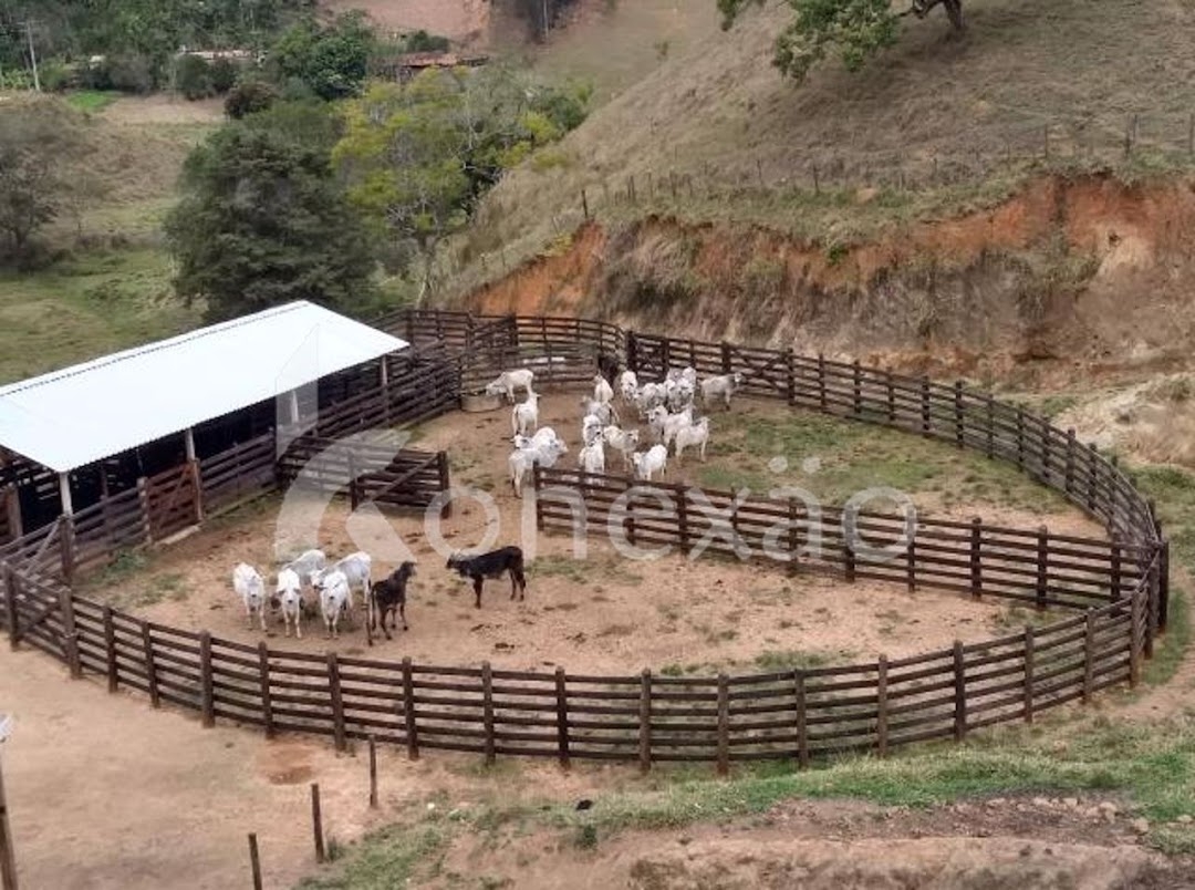 Fazenda-Sítio-Chácara, 90 m² - Foto 1