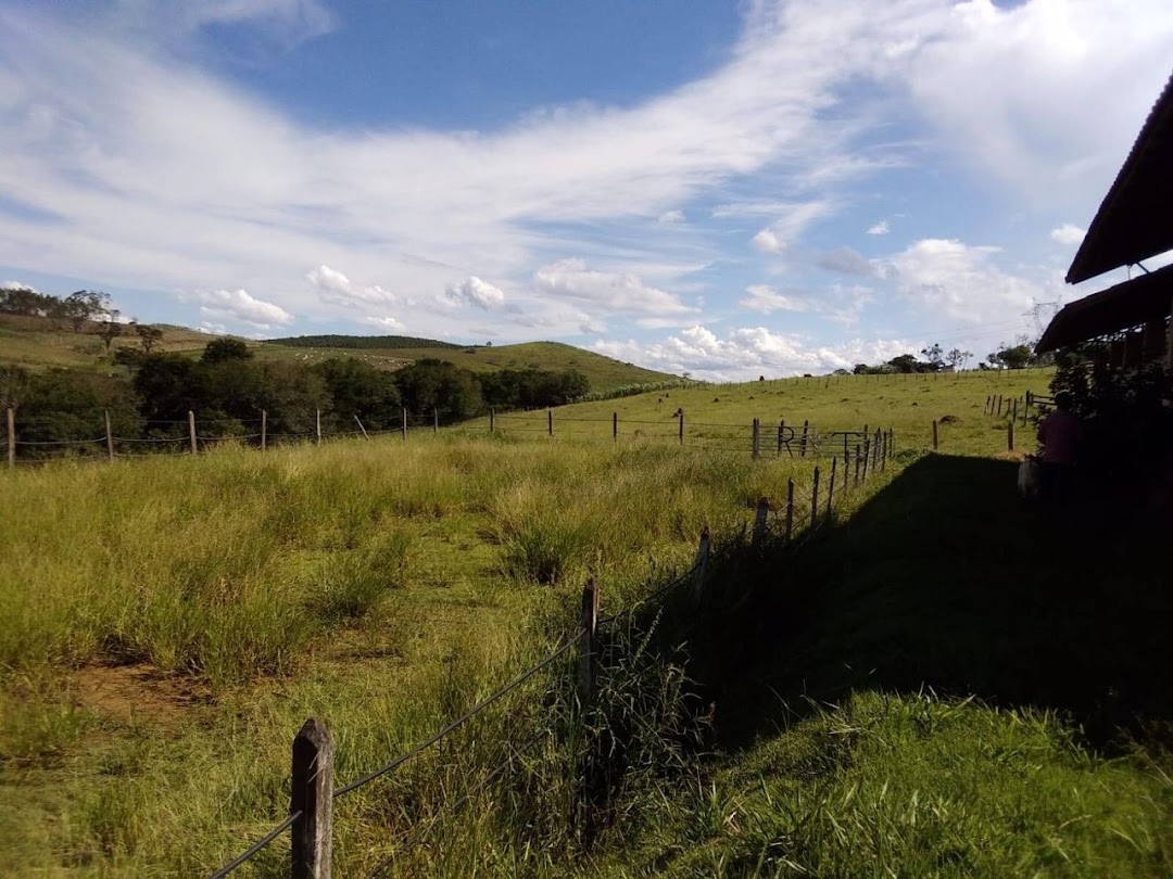 Sítio, 1 quarto, 150 m² - Foto 45