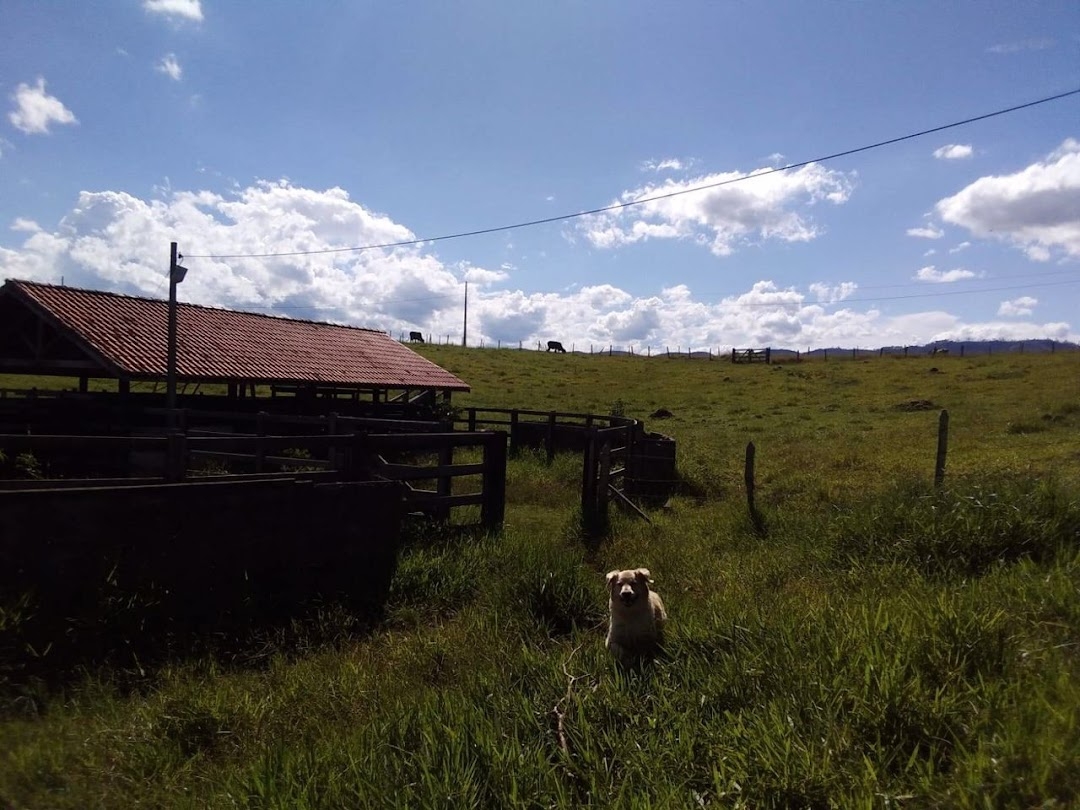 Sítio, 1 quarto, 150 m² - Foto 47