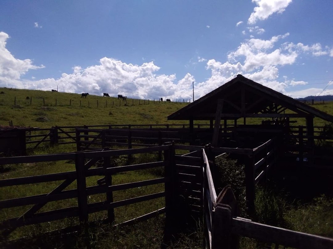 Sítio, 1 quarto, 150 m² - Foto 56