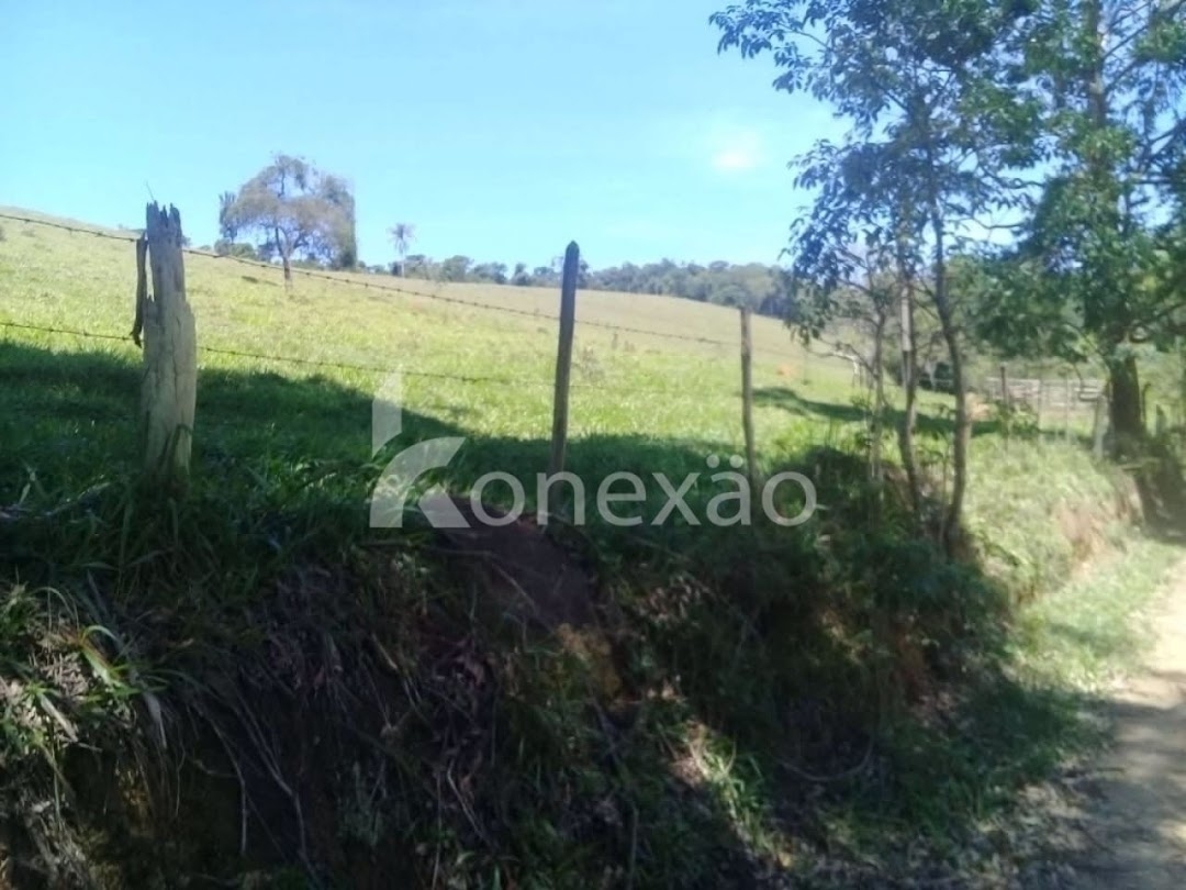 Fazenda, 200 m² - Foto 4