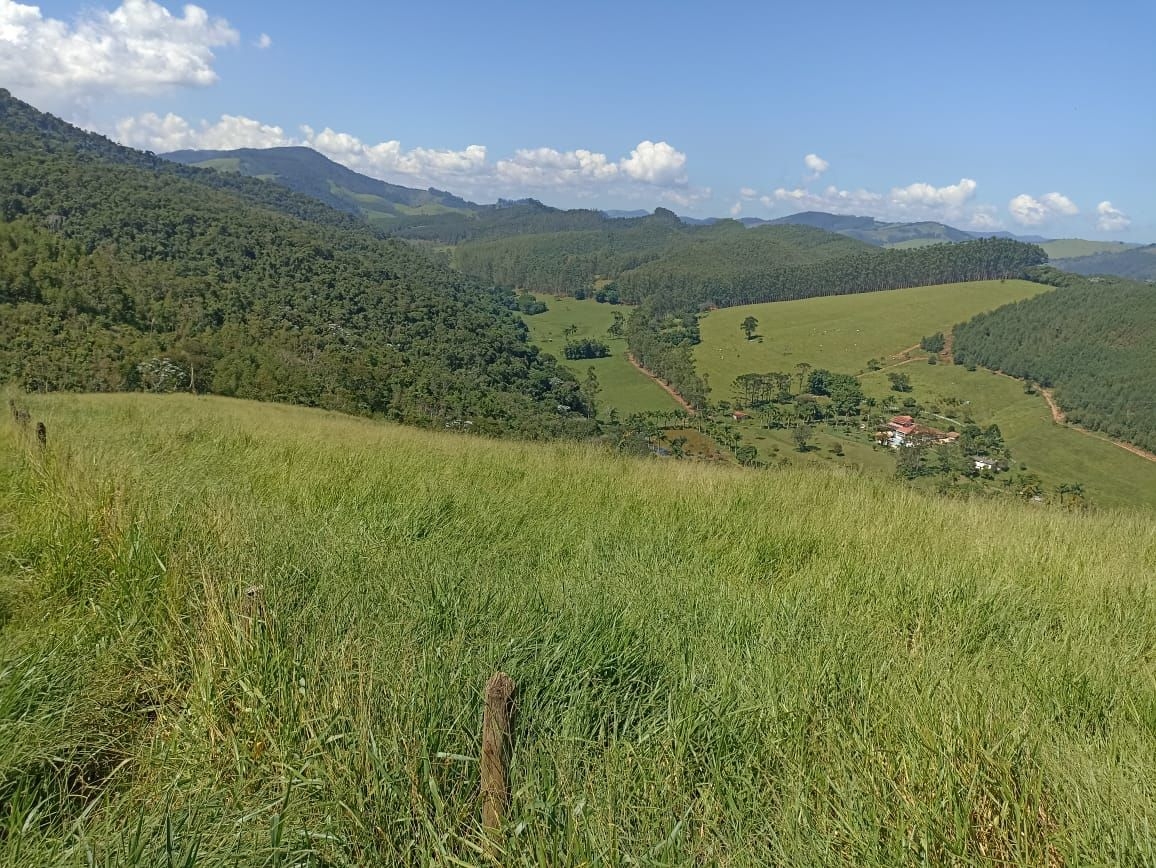 Sítio, 4 quartos, 200 m² - Foto 1