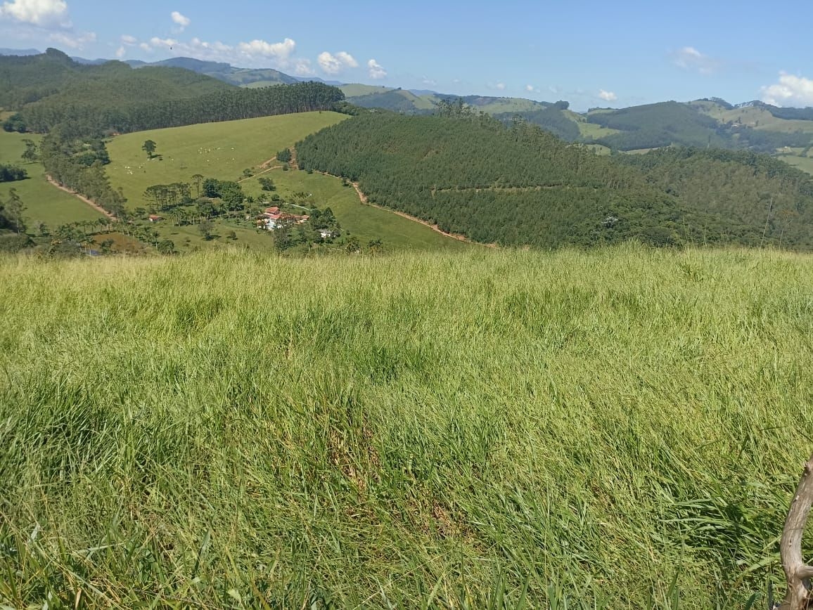 Sítio, 4 quartos, 200 m² - Foto 2