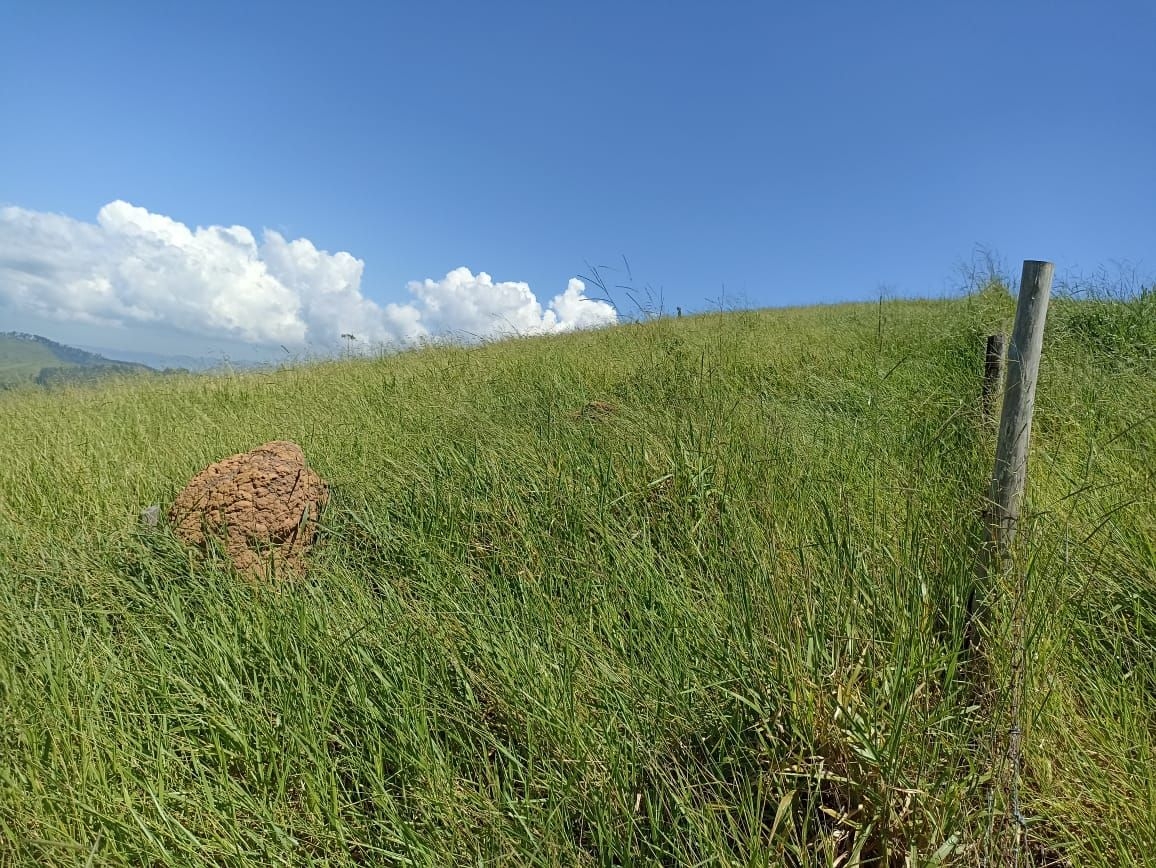 Sítio, 4 quartos, 200 m² - Foto 3