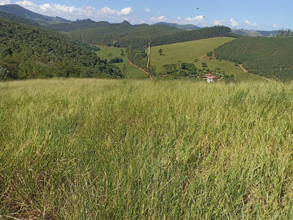 Sítio, 4 quartos, 200 m² - Foto 5