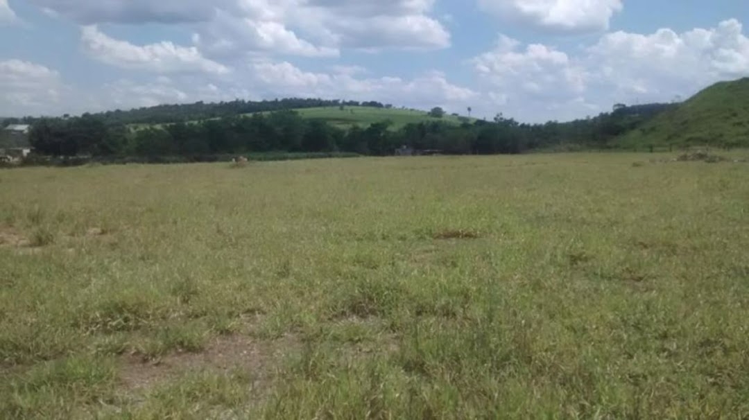 Terreno, 4 hectares - Foto 10