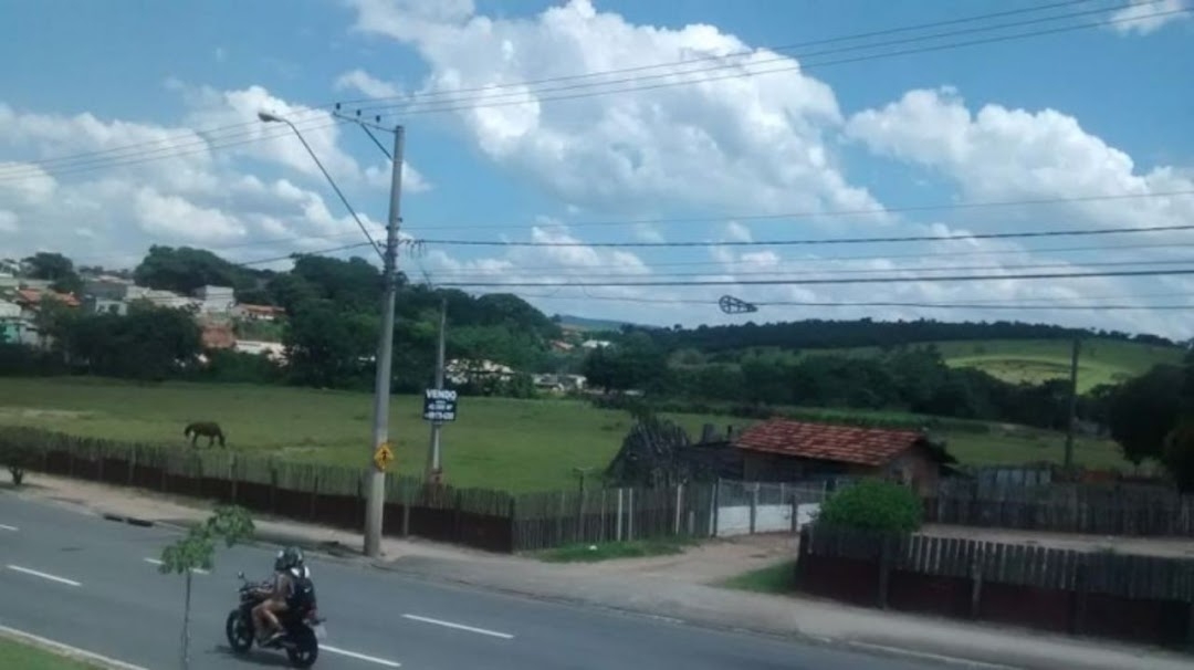 Terreno, 4 hectares - Foto 9