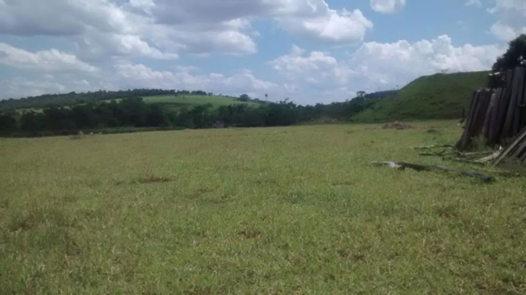 Terreno, 4 hectares - Foto 6