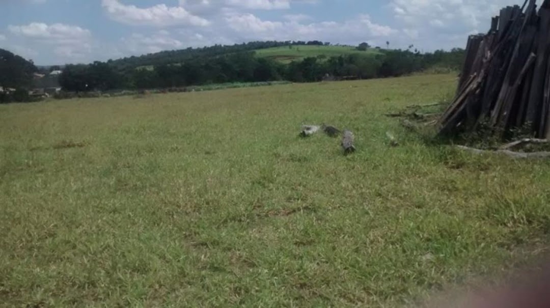 Terreno, 4 hectares - Foto 13