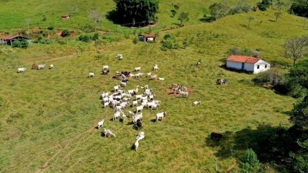 Fazenda, 159 m² - Foto 1