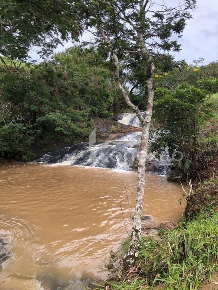 Terreno, 12 hectares - Foto 3
