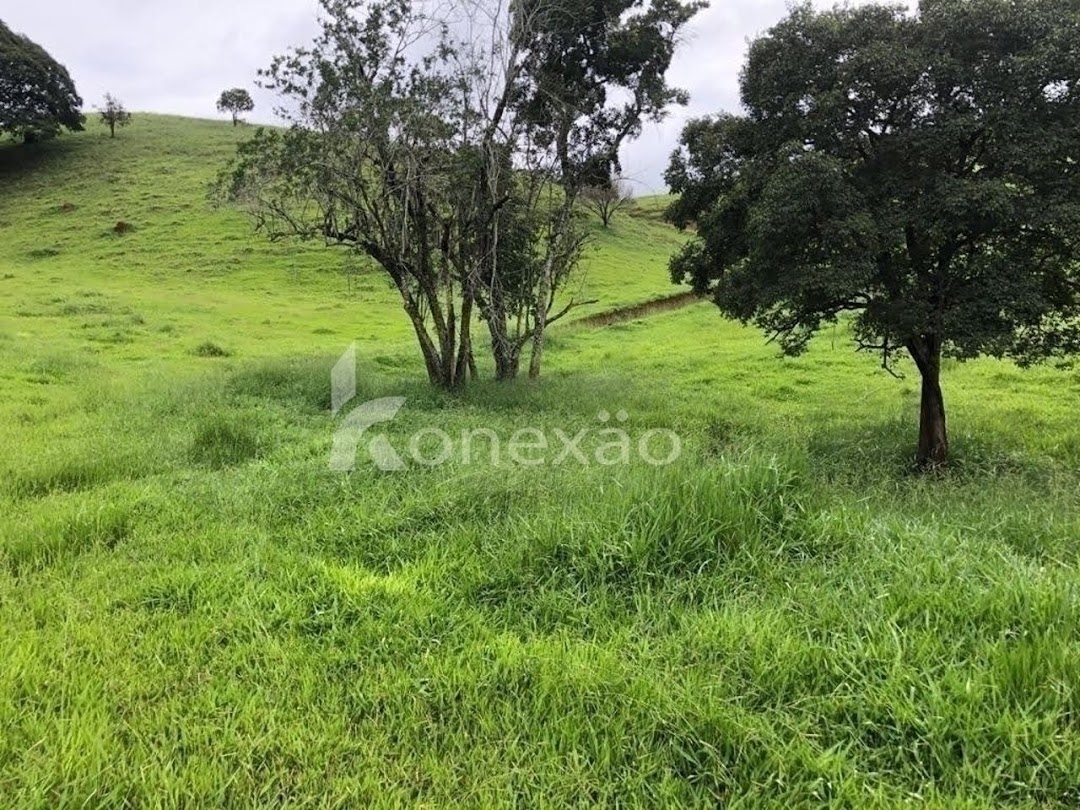 Terreno, 12 hectares - Foto 10