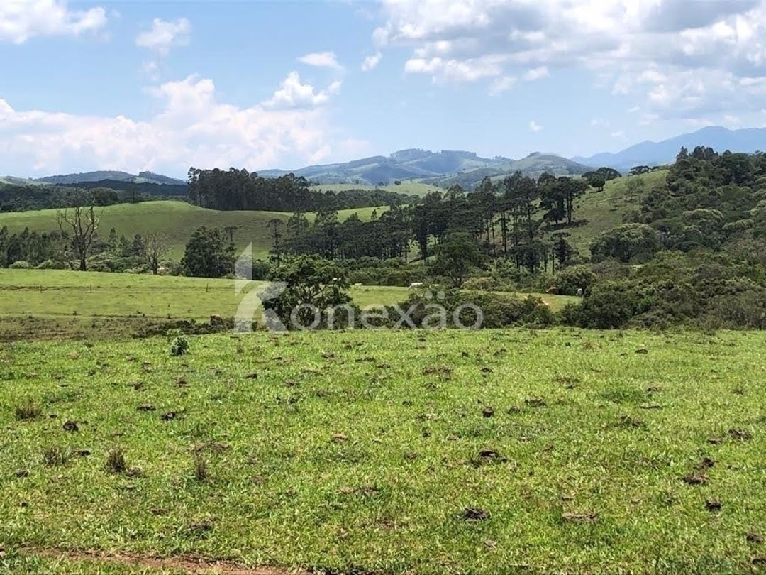 Terreno, 12 hectares - Foto 1