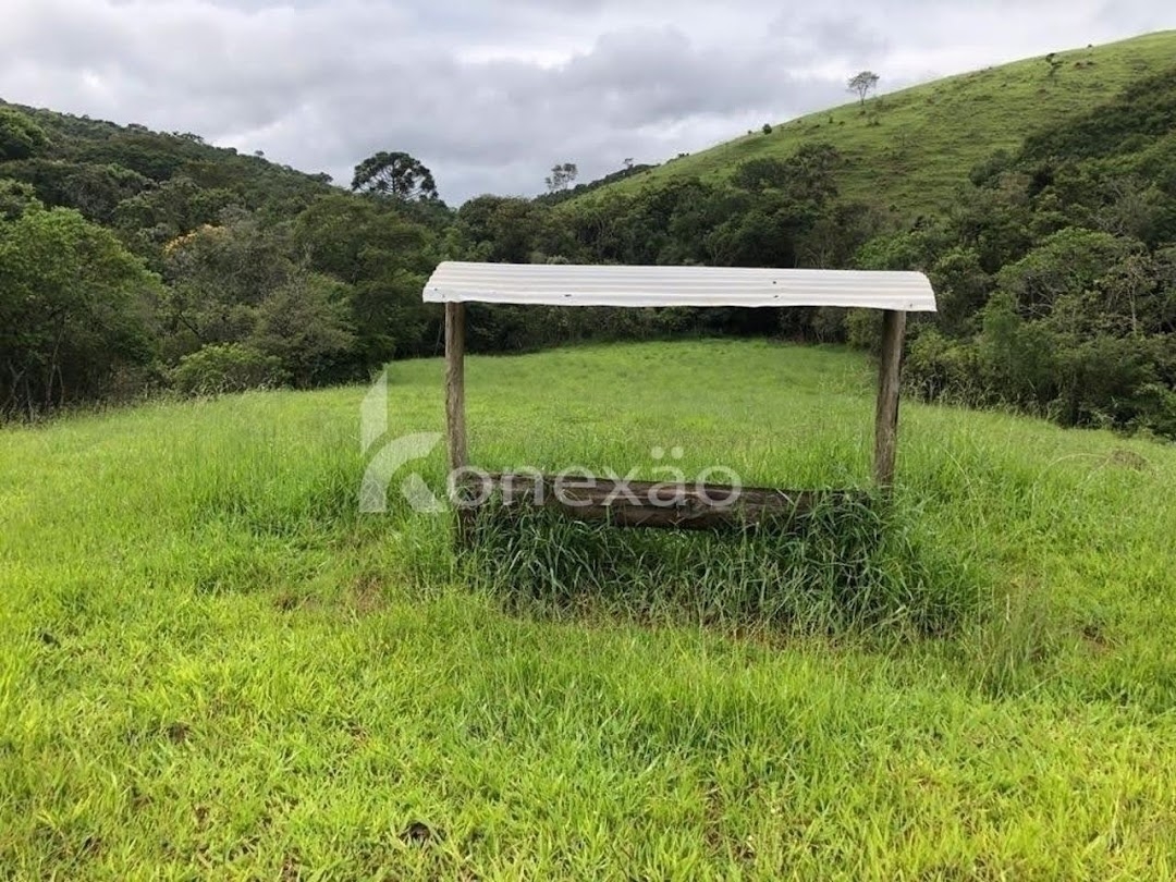 Terreno, 12 hectares - Foto 8