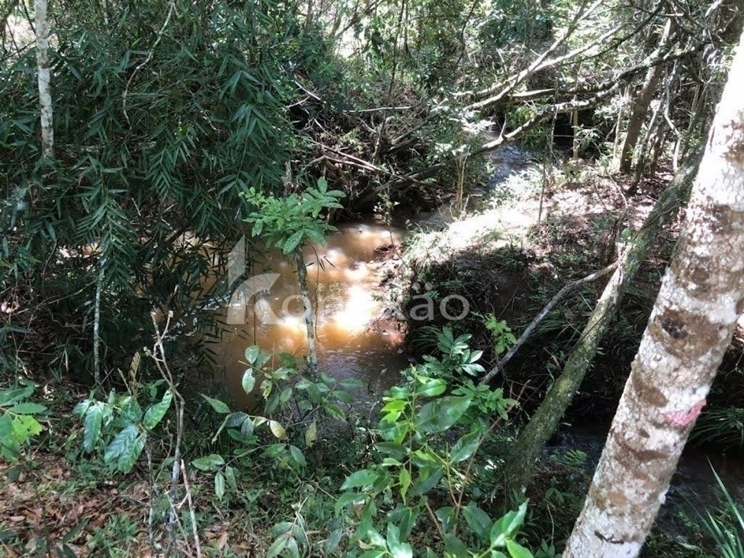 Terreno, 12 hectares - Foto 13