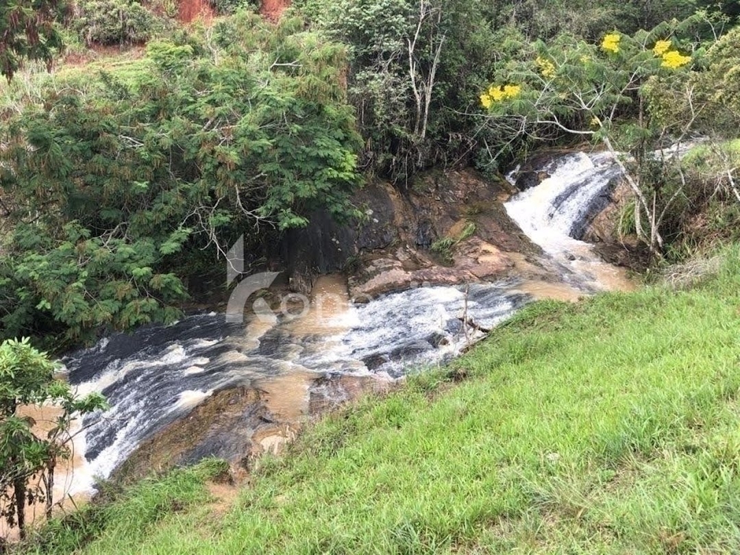 Terreno, 12 hectares - Foto 6