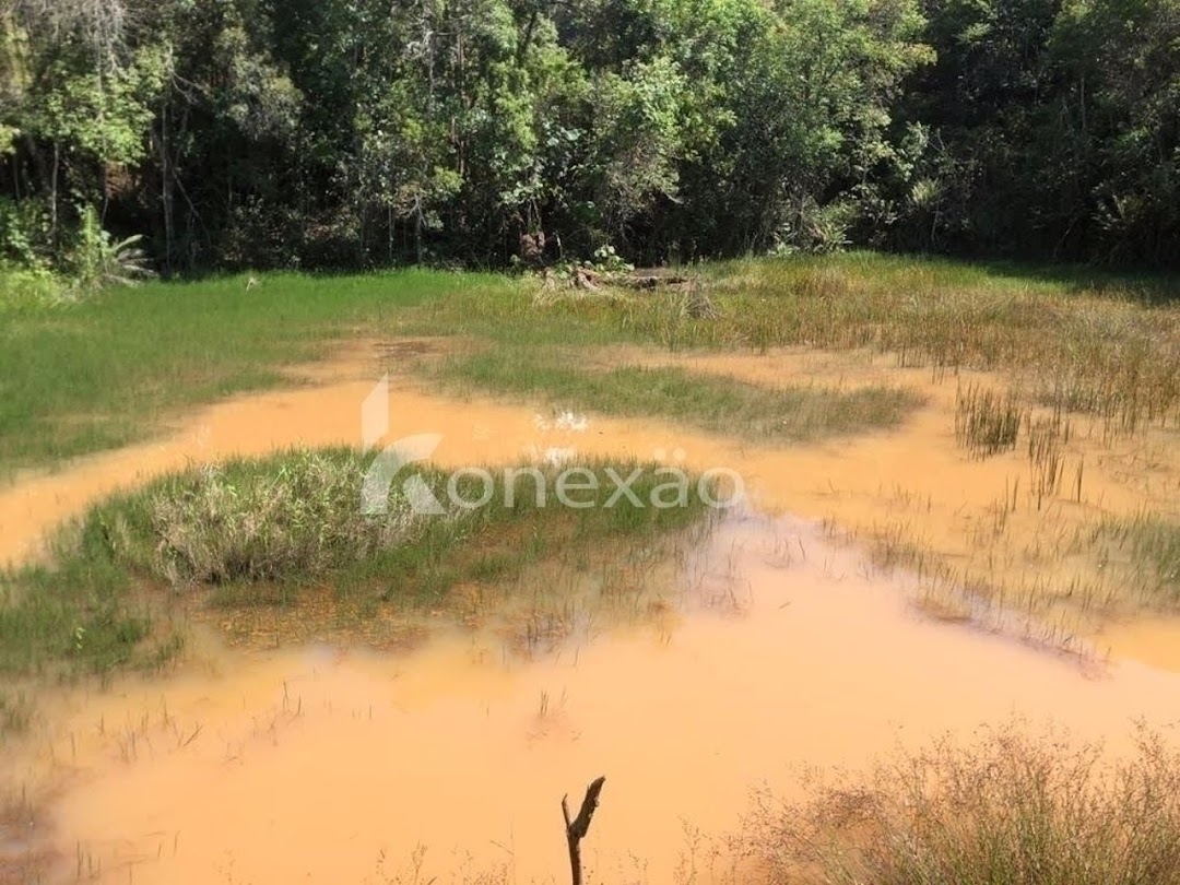 Terreno, 12 hectares - Foto 12