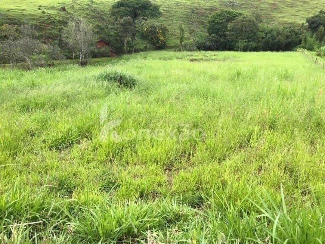 Terreno, 12 hectares - Foto 7