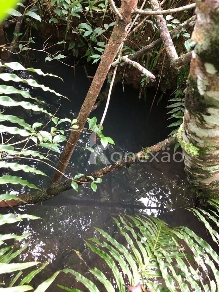 Terreno, 12 hectares - Foto 9