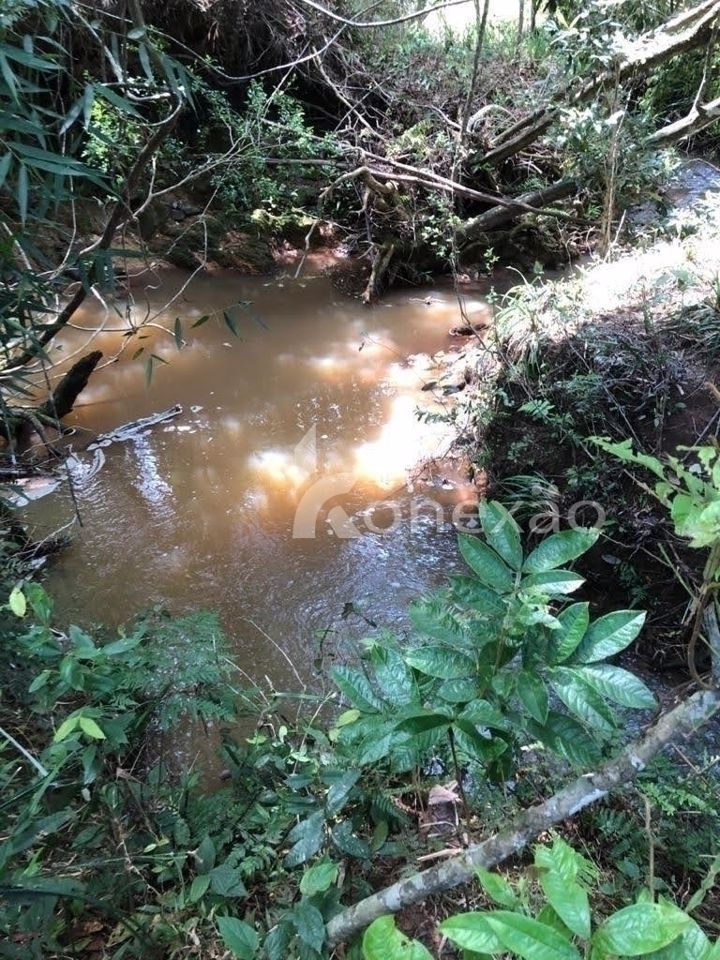 Terreno, 12 hectares - Foto 14