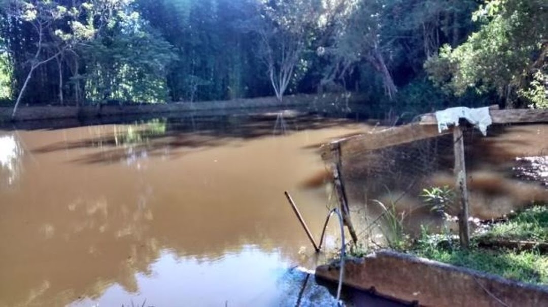 Sítio, 4 quartos, 100 m² - Foto 1