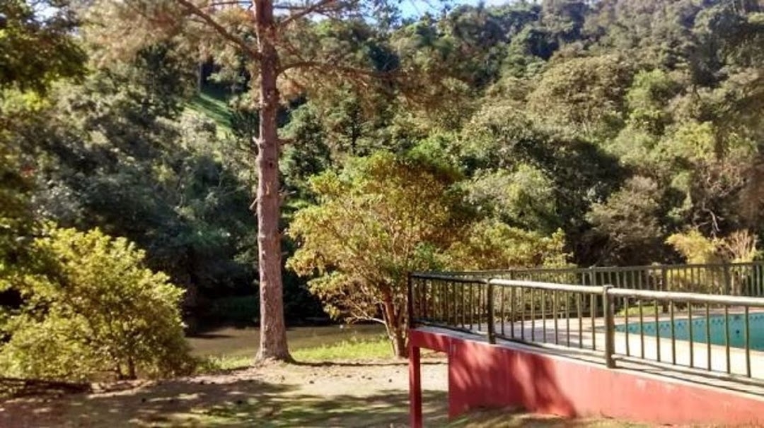 Sítio, 4 quartos, 100 m² - Foto 2