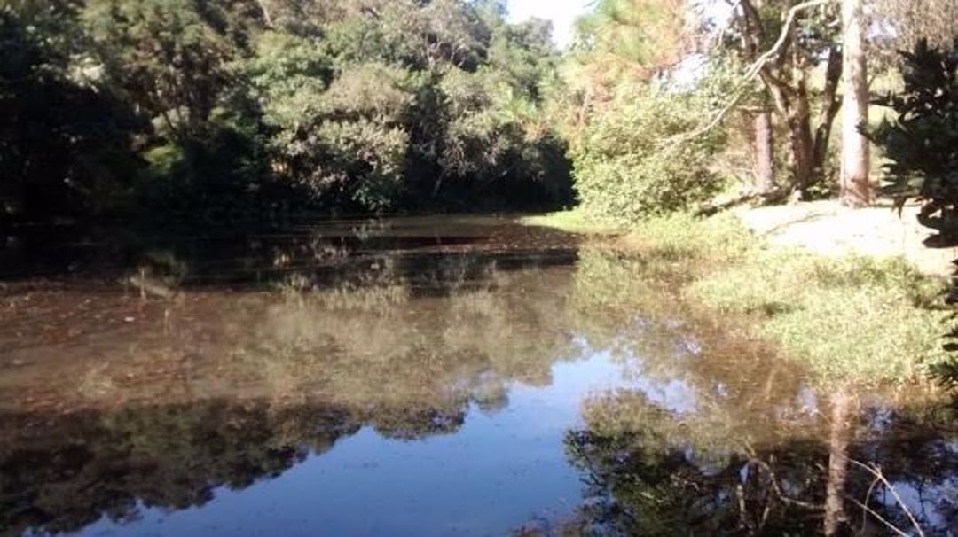 Sítio, 4 quartos, 100 m² - Foto 12