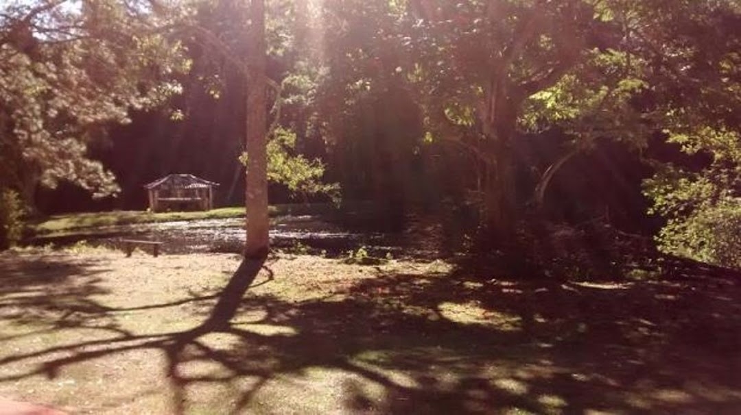 Sítio, 4 quartos, 100 m² - Foto 15