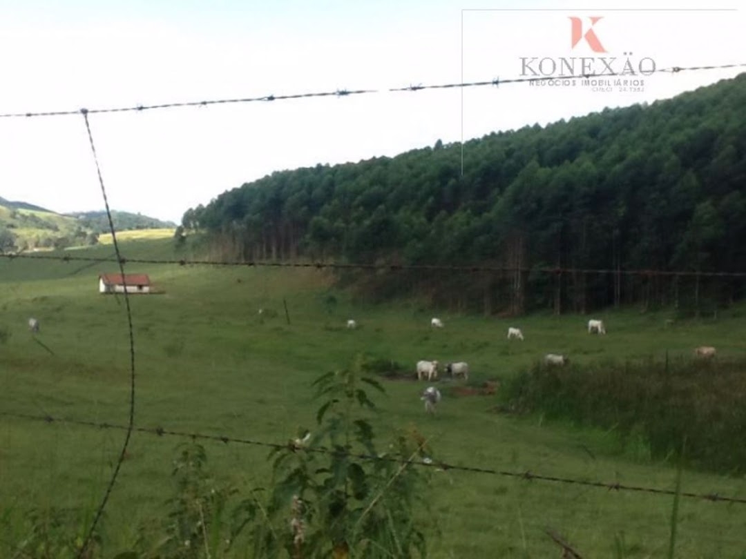 Fazenda em Santa Branca/São Paulo — Ref 5EVL4U — Imagem 21