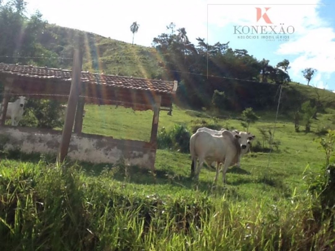 Fazenda em Santa Branca/São Paulo — Ref 5EVL4U — Imagem 17