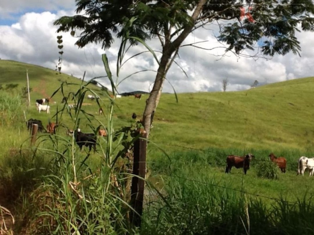 Fazenda em Santa Branca/São Paulo — Ref 5EVL4U — Imagem 15