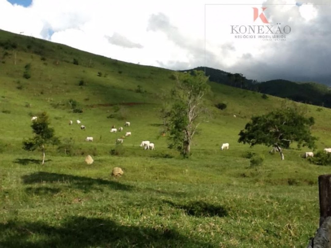 Fazenda, 2904 hectares - Foto 2