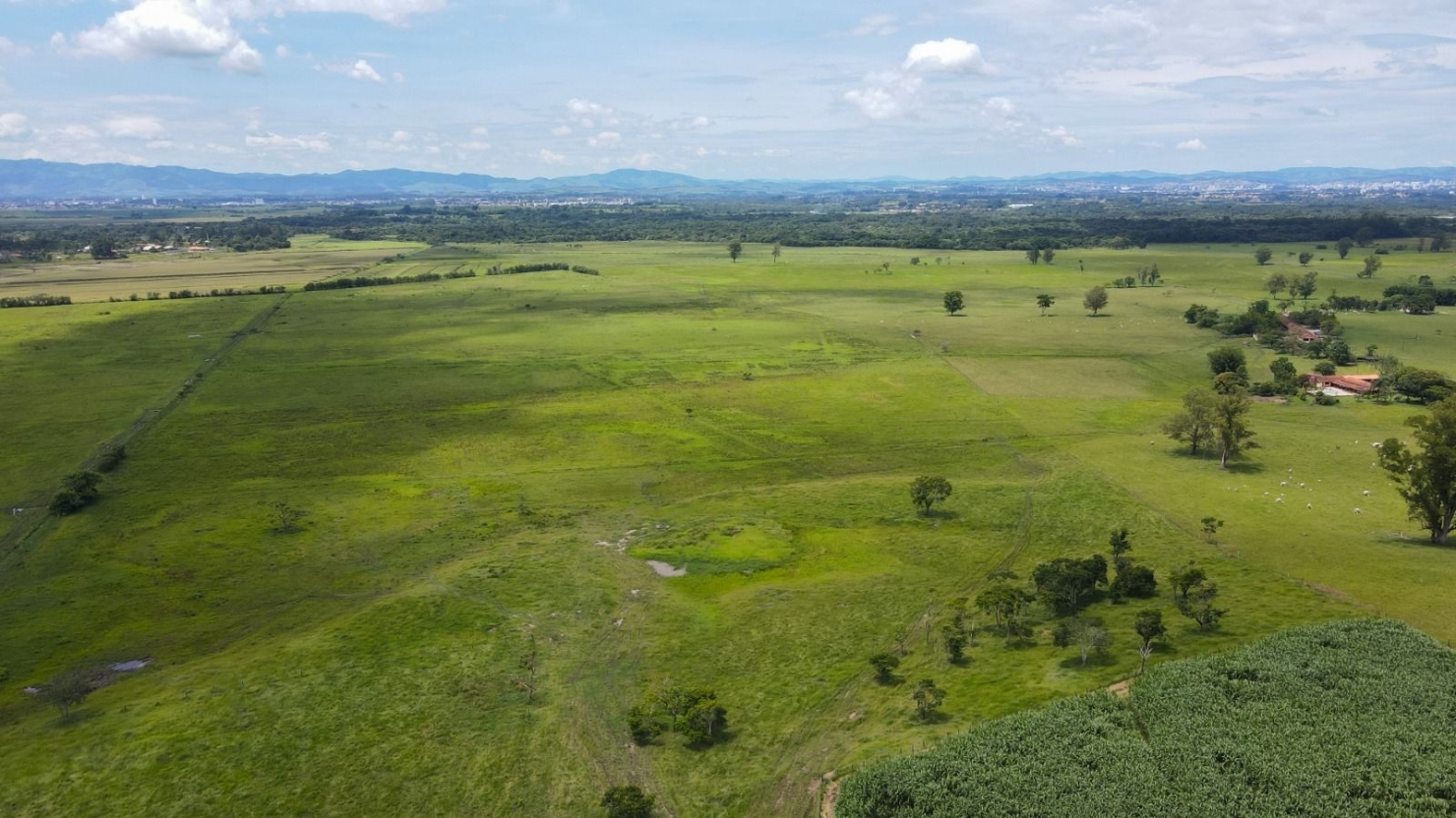 Fazenda, 97 hectares - Foto 3
