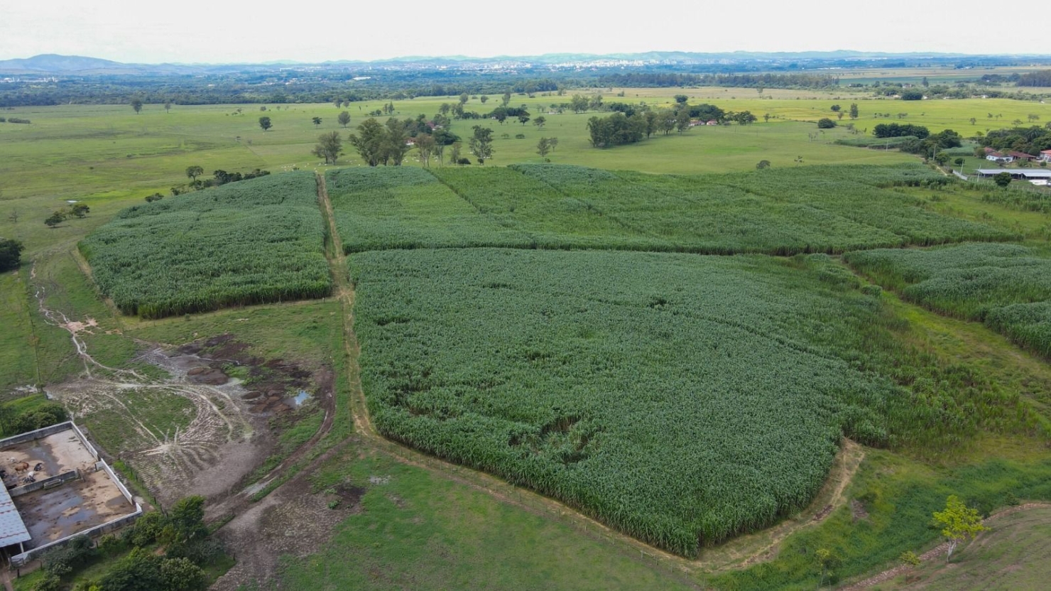 Fazenda, 97 hectares - Foto 4