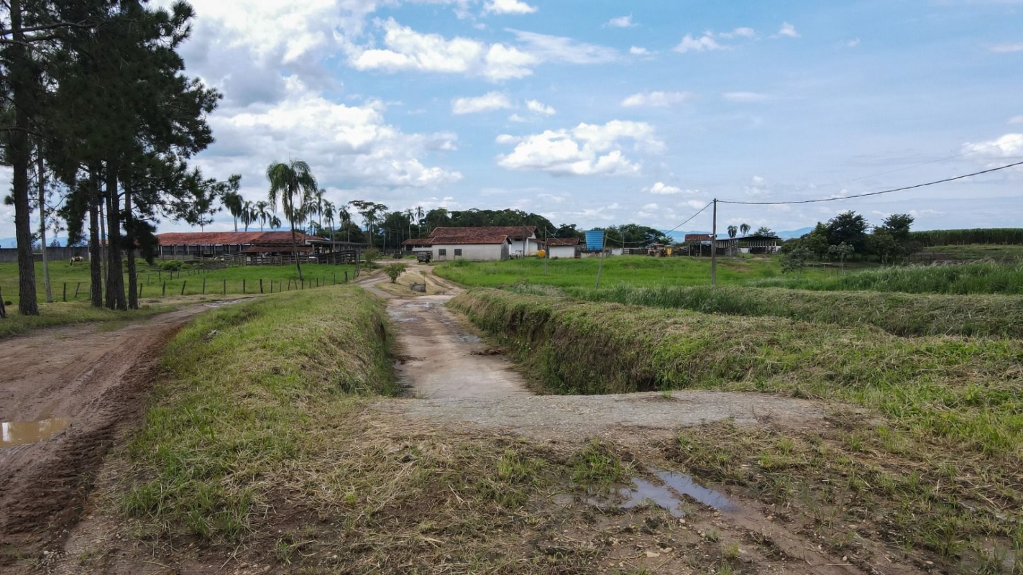 Fazenda, 97 hectares - Foto 5