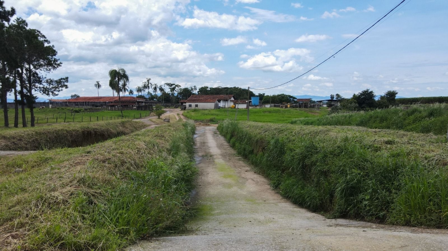 Fazenda, 97 hectares - Foto 6
