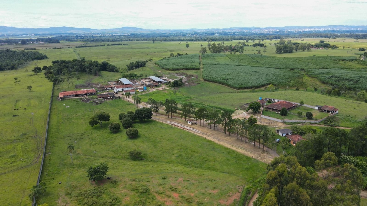 Fazenda, 97 hectares - Foto 8