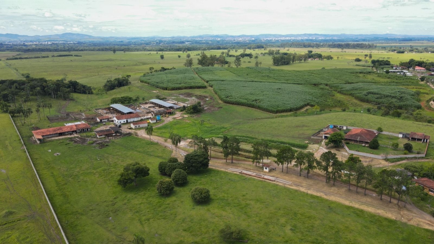 Fazenda, 97 hectares - Foto 11