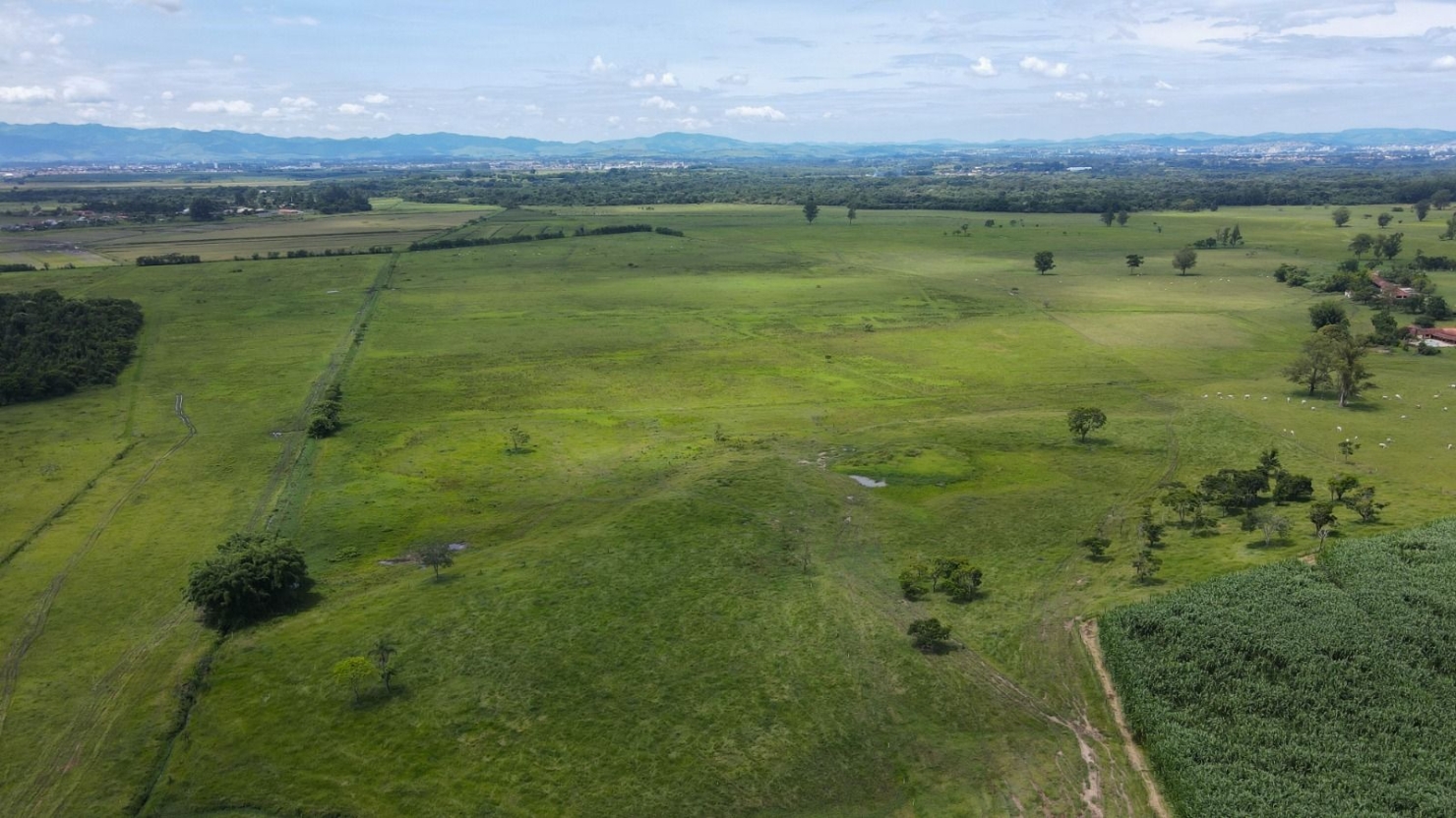 Fazenda, 97 hectares - Foto 19
