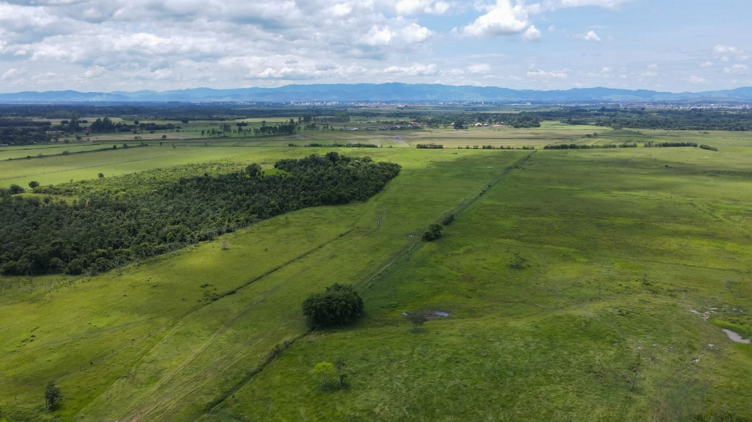 Fazenda, 97 hectares - Foto 23