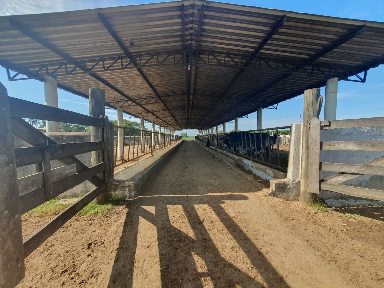 Fazenda, 97 hectares - Foto 39
