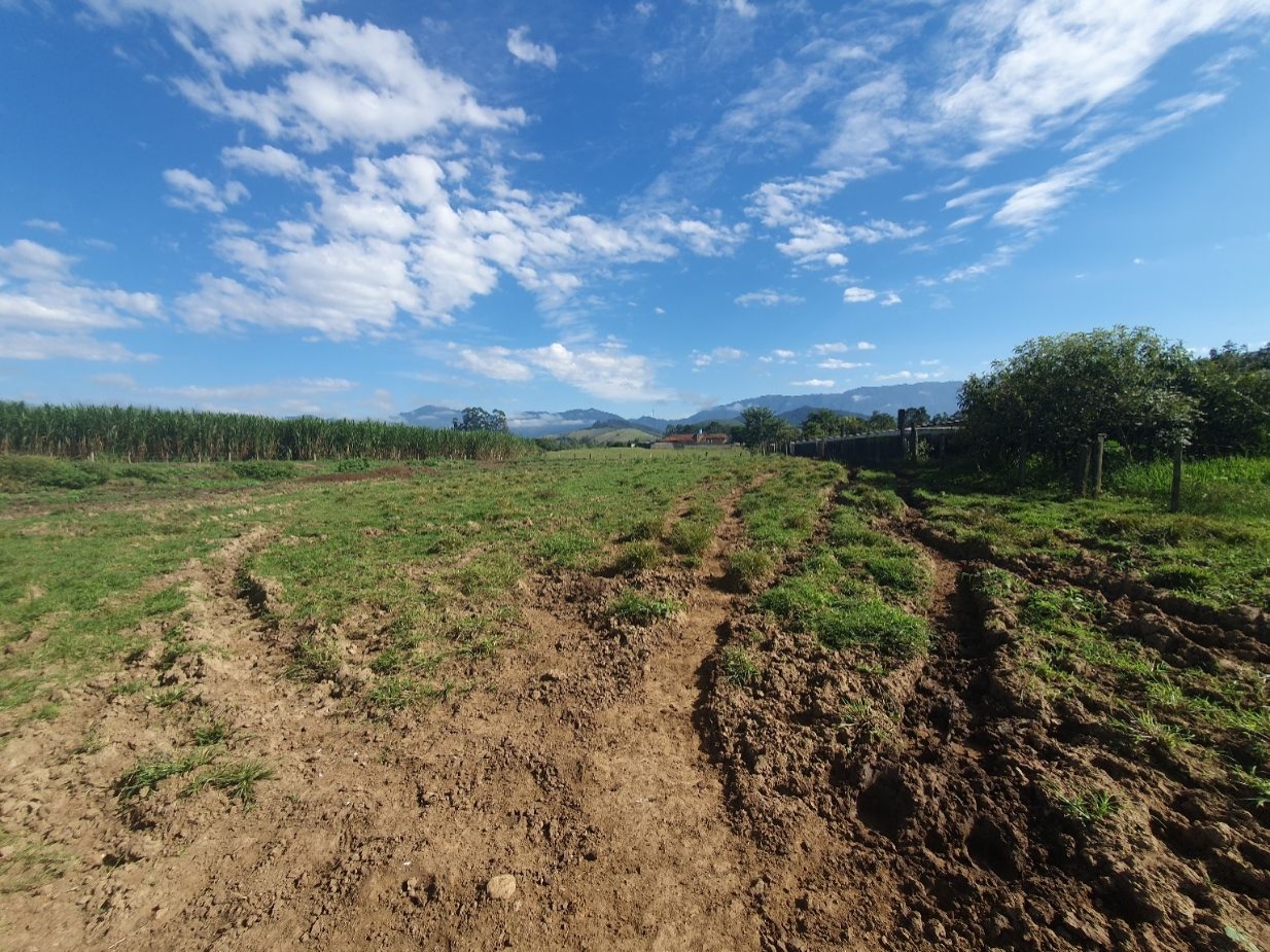 Fazenda, 97 hectares - Foto 42