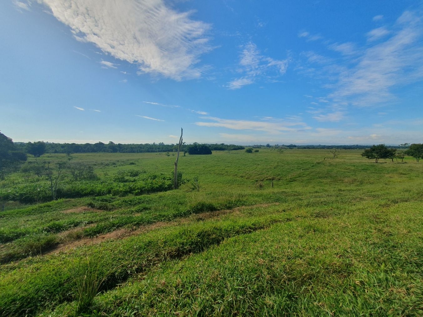 Fazenda, 97 hectares - Foto 45