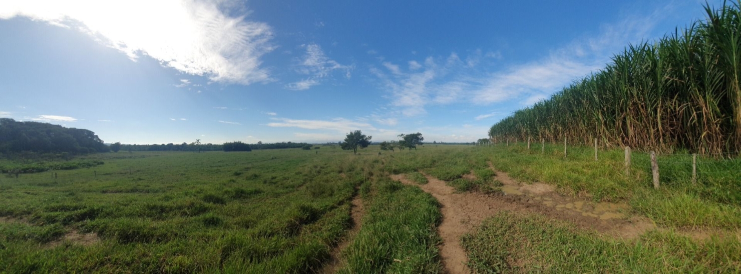 Fazenda, 97 hectares - Foto 46