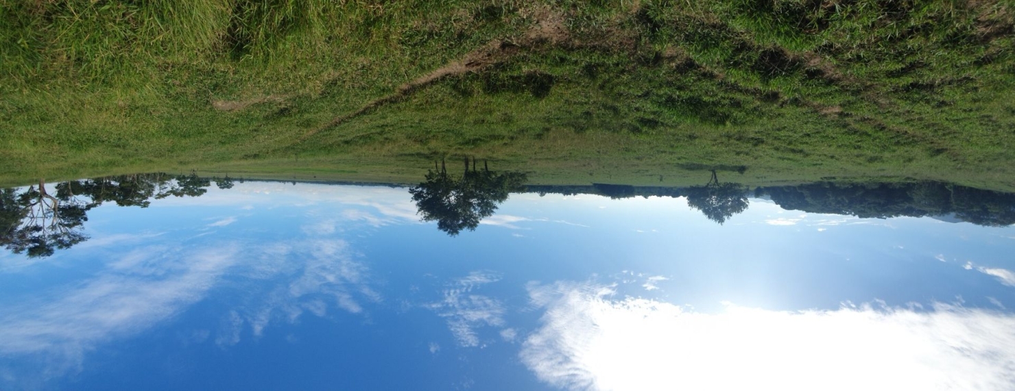 Fazenda, 97 hectares - Foto 47